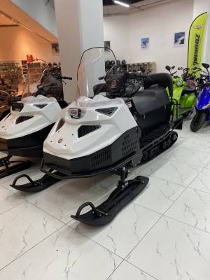 Снегоход БТС Арктик - 4Т РК Лонг Люкс 20 л.с.. эл. запуск. реверс. тормоз белый (машинокомплект)