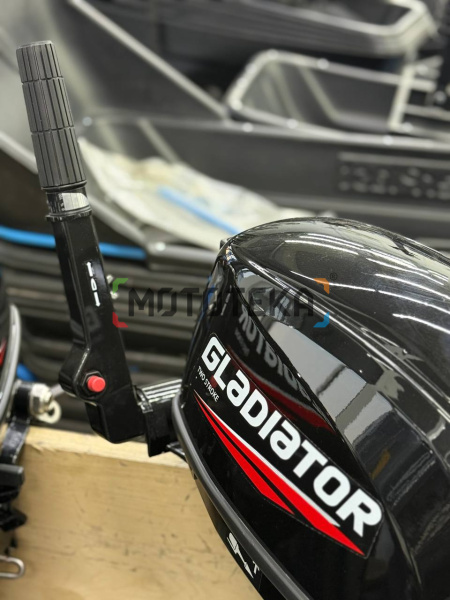Лодочный мотор Gladiator (Гладиатор) G 9.8 FHS | Мототека